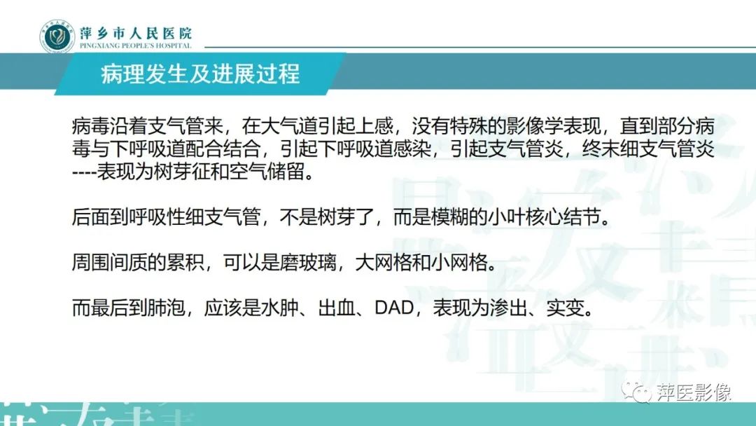 影像PPT - 【PPT】病毒性肺炎解剖、病理和影像诊断-7