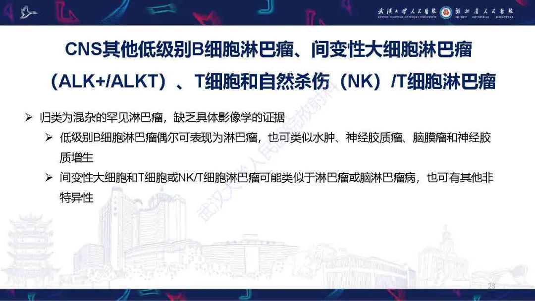 影像PPT - 【PPT】中枢神经系统淋巴瘤WHO分类更新及影像诊断-28