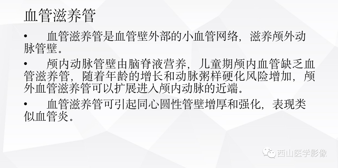 影像PPT - 【PPT】头颈部动脉磁共振高分辨血管壁成像报告书写规范及病例分析-5