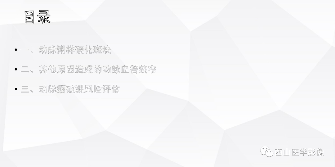 影像PPT - 【PPT】头颈部动脉磁共振高分辨血管壁成像报告书写规范及病例分析-11