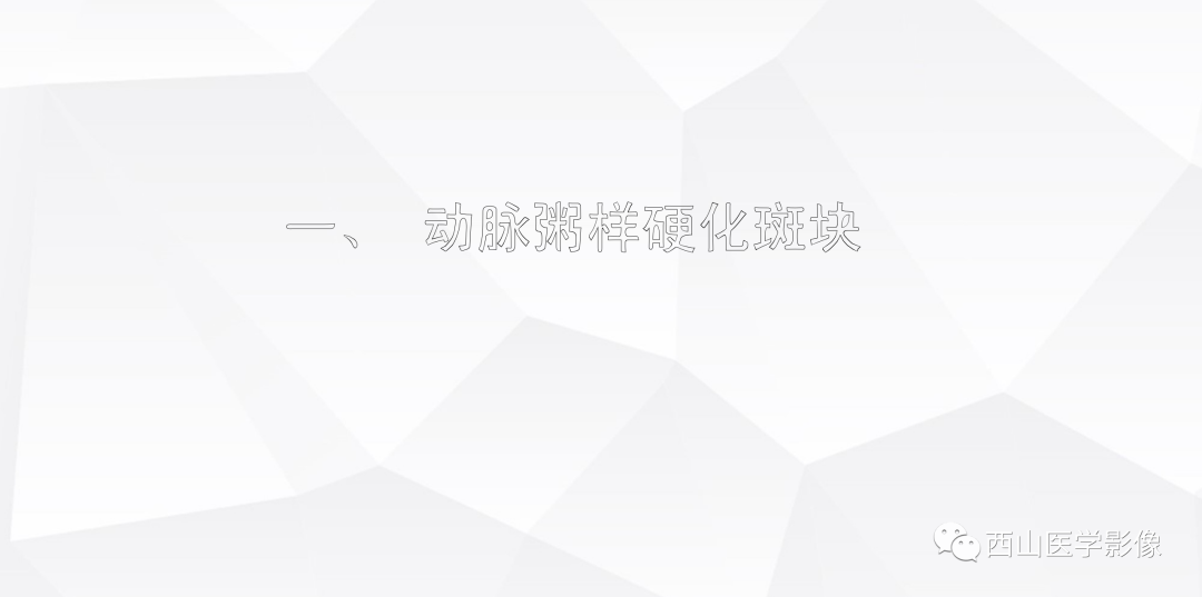 影像PPT - 【PPT】头颈部动脉磁共振高分辨血管壁成像报告书写规范及病例分析-12