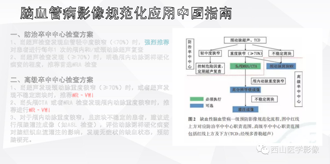 影像PPT - 【PPT】头颈部动脉磁共振高分辨血管壁成像报告书写规范及病例分析-13