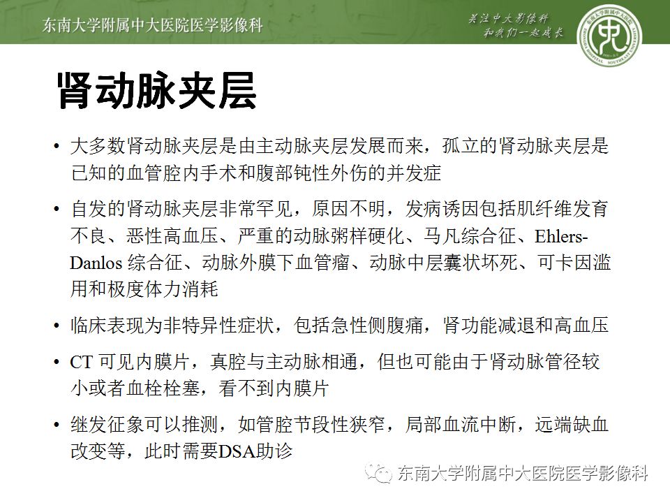 影像PPT - 【PPT】肾动脉常见病变-18