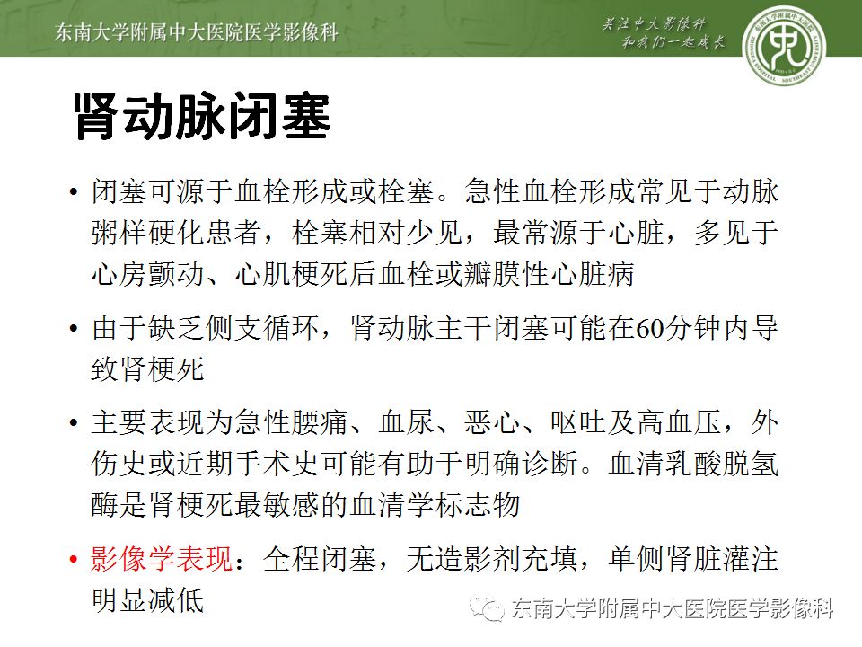 影像PPT - 【PPT】肾动脉常见病变-22