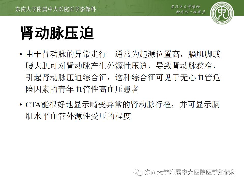 影像PPT - 【PPT】肾动脉常见病变-25