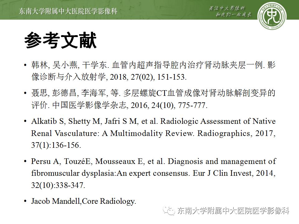 影像PPT - 【PPT】肾动脉常见病变-28