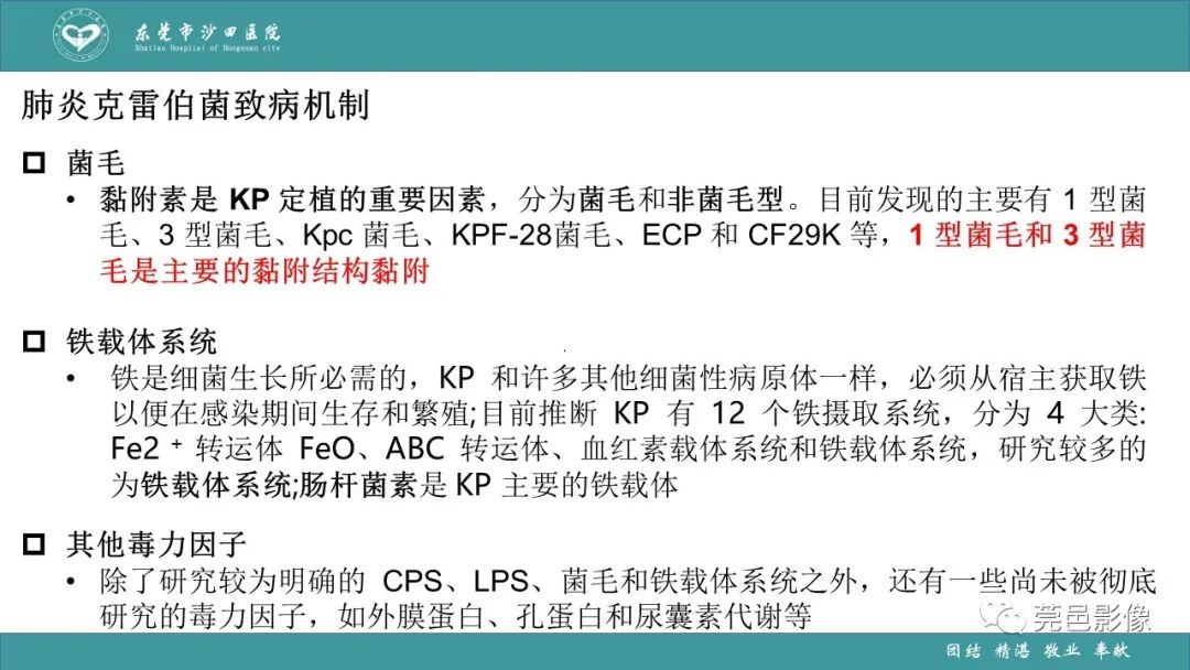影像PPT - 【PPT】肺炎克雷伯杆菌肺炎影像学诊断与鉴别诊断-22