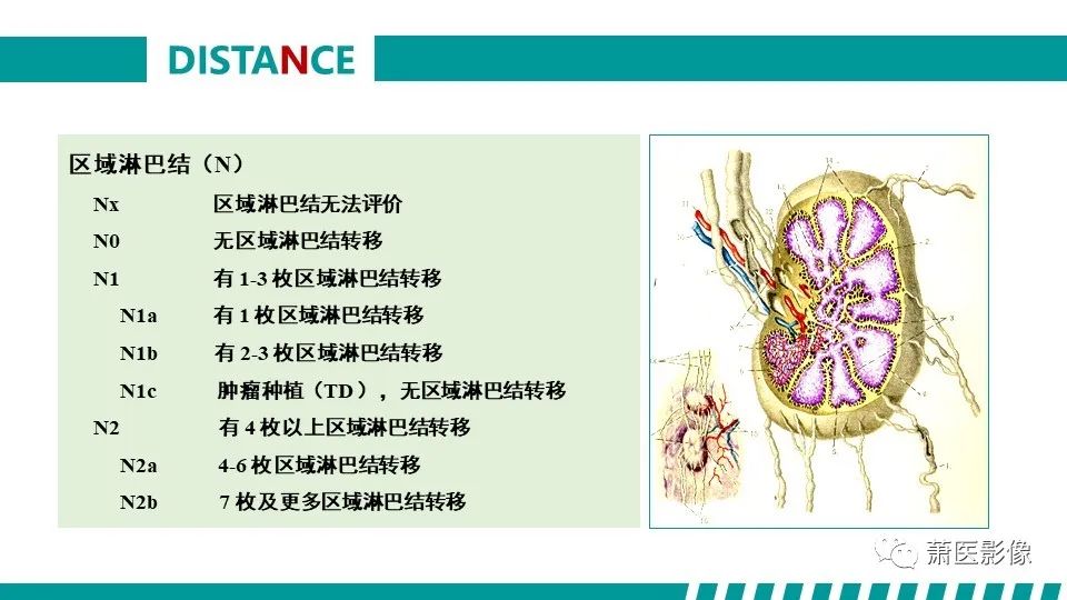 影像PPT - 【PPT】直肠癌影像学评价-49