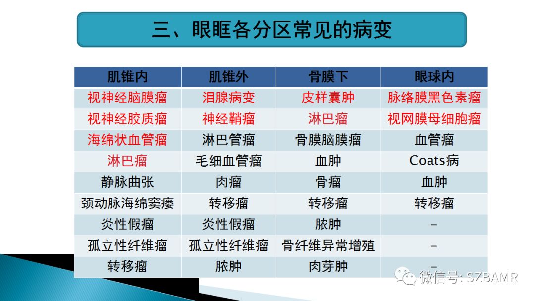 影像PPT - 【PPT】眼眶常见肿瘤的影像表现-6