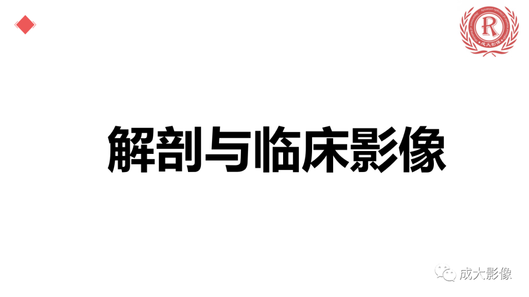 影像PPT - 【PPT】腕关节MRI解剖与临床-10