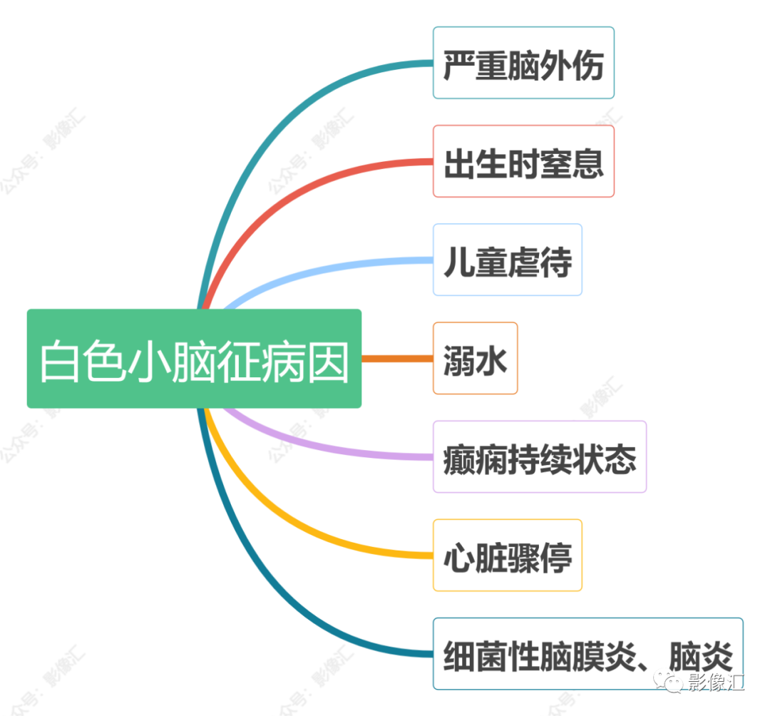 影像PPT - 可怕的白色小脑征与黑色小脑征-1