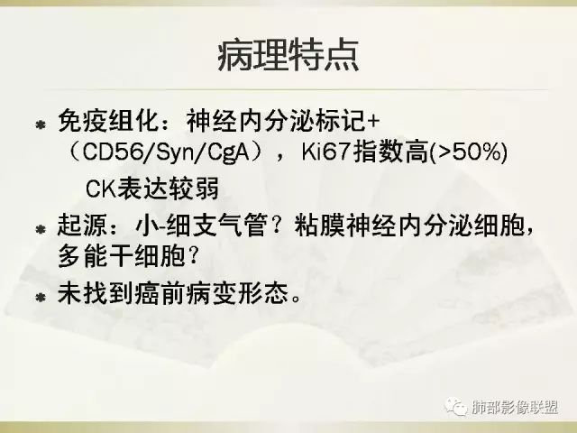 影像PPT - 【PPT】小细胞肺癌的病理影像分析-12 影像PPT - 【PPT】小细胞肺癌的病理影像分析-12