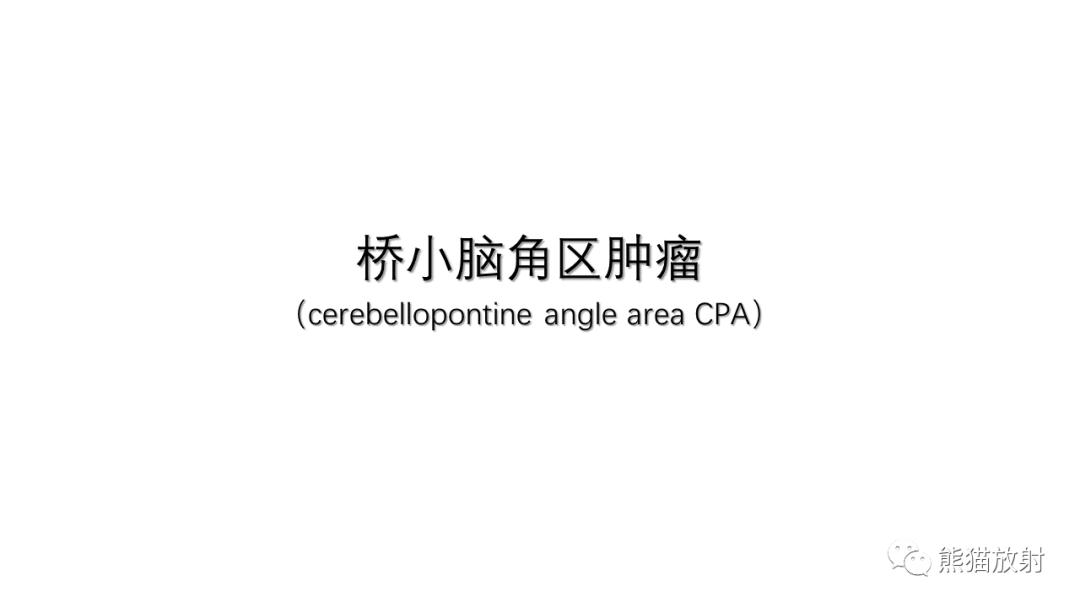 影像PPT - 【病例】桥小脑角区占位—副神经节瘤 VS 室管膜瘤-18