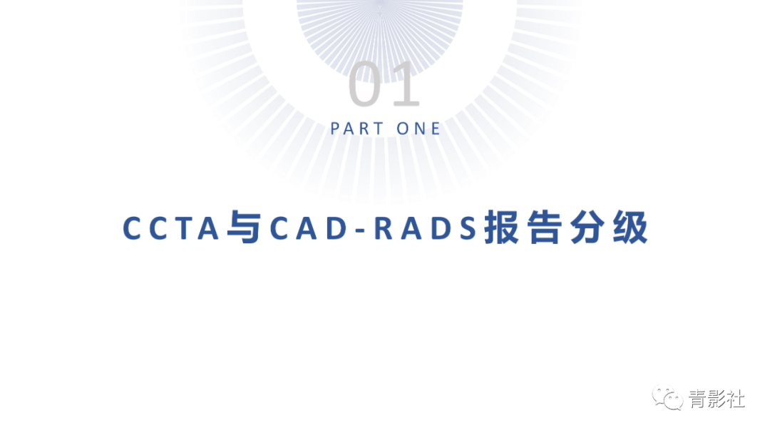 影像PPT - 【PPT】CAD-RADS 2.0报告分级解读-3
