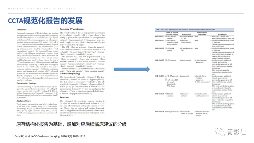 影像PPT - 【PPT】CAD-RADS 2.0报告分级解读-8