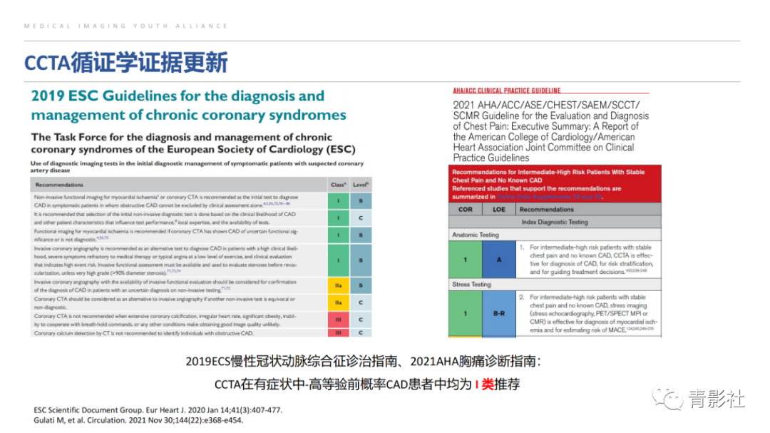影像PPT - 【PPT】CAD-RADS 2.0报告分级解读-6