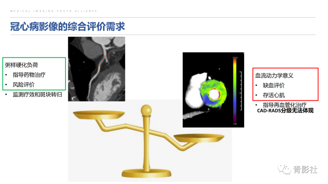 影像PPT - 【PPT】CAD-RADS 2.0报告分级解读-16