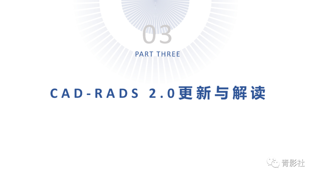 影像PPT - 【PPT】CAD-RADS 2.0报告分级解读-22
