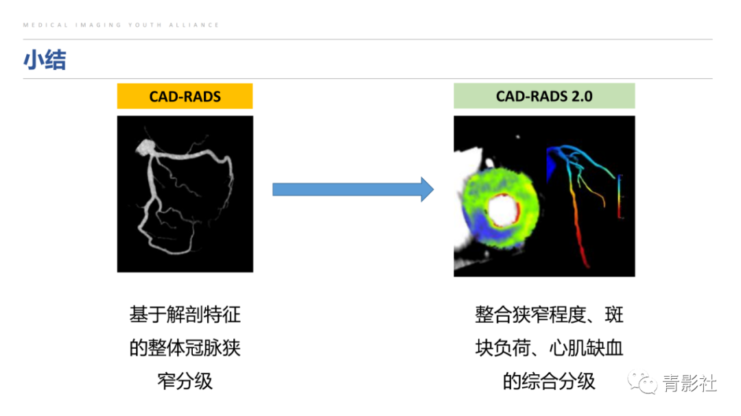 影像PPT - 【PPT】CAD-RADS 2.0报告分级解读-12