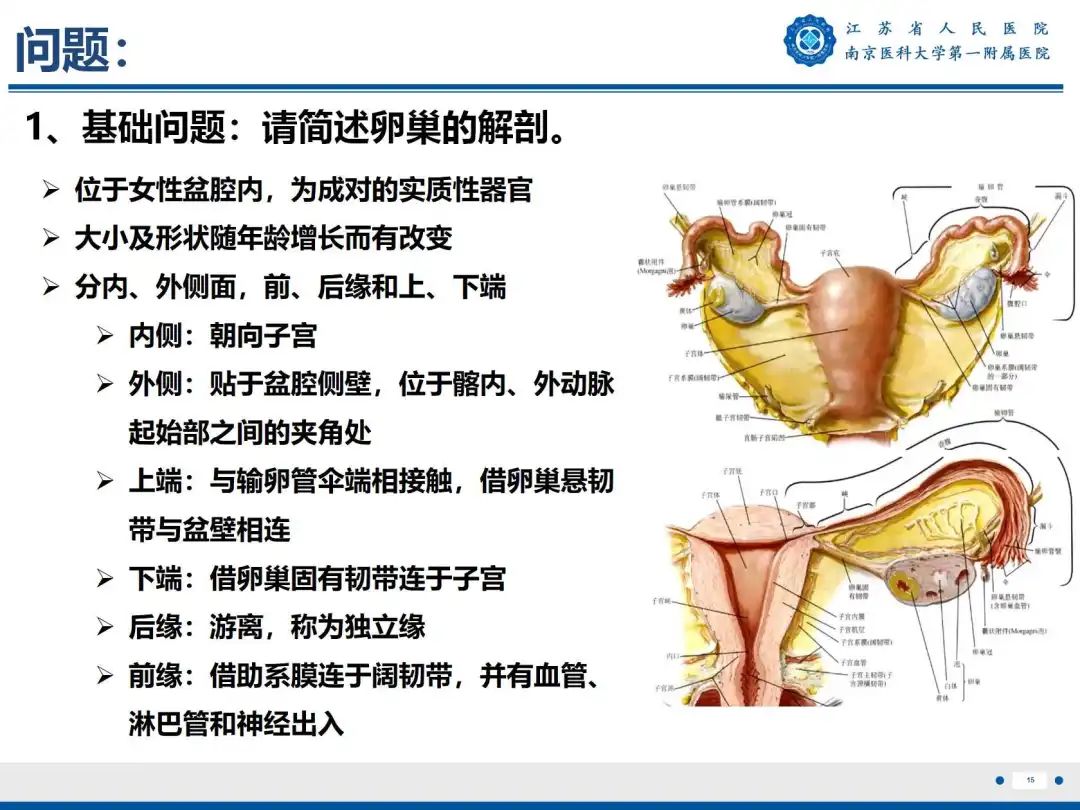 影像PPT - 【PPT】卵巢子宫内膜样癌-16