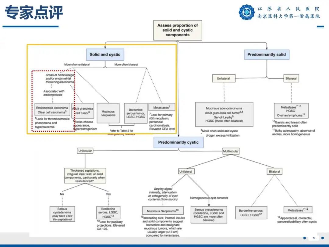 影像PPT - 【PPT】卵巢子宫内膜样癌-47