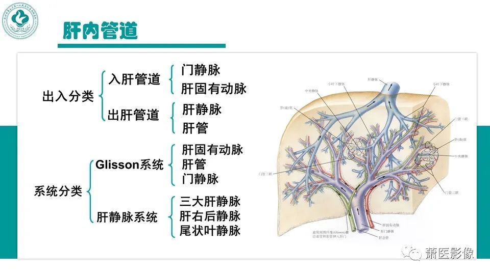 影像PPT - 【病例】细菌性肝脓肿 VS 胆管细胞癌-7