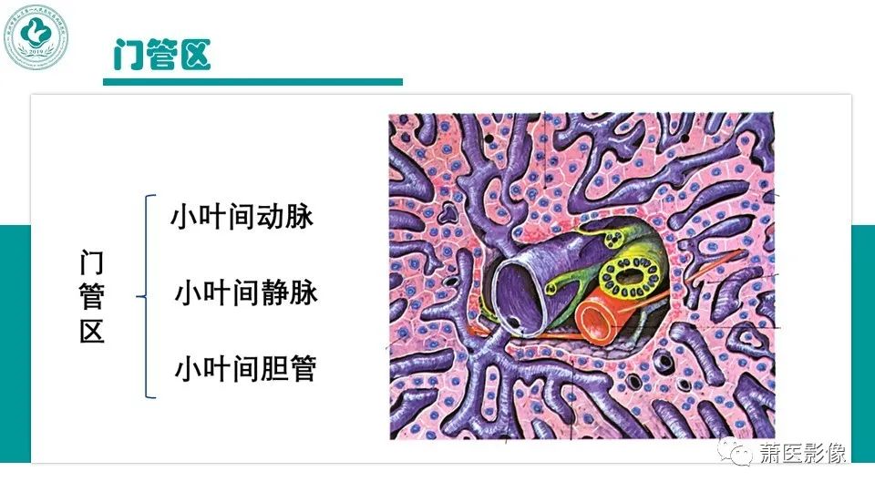 影像PPT - 【病例】细菌性肝脓肿 VS 胆管细胞癌-8