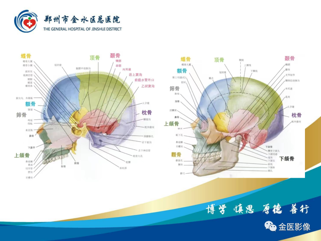 影像PPT - 【PPT】颞骨断层解剖及CT重建-3