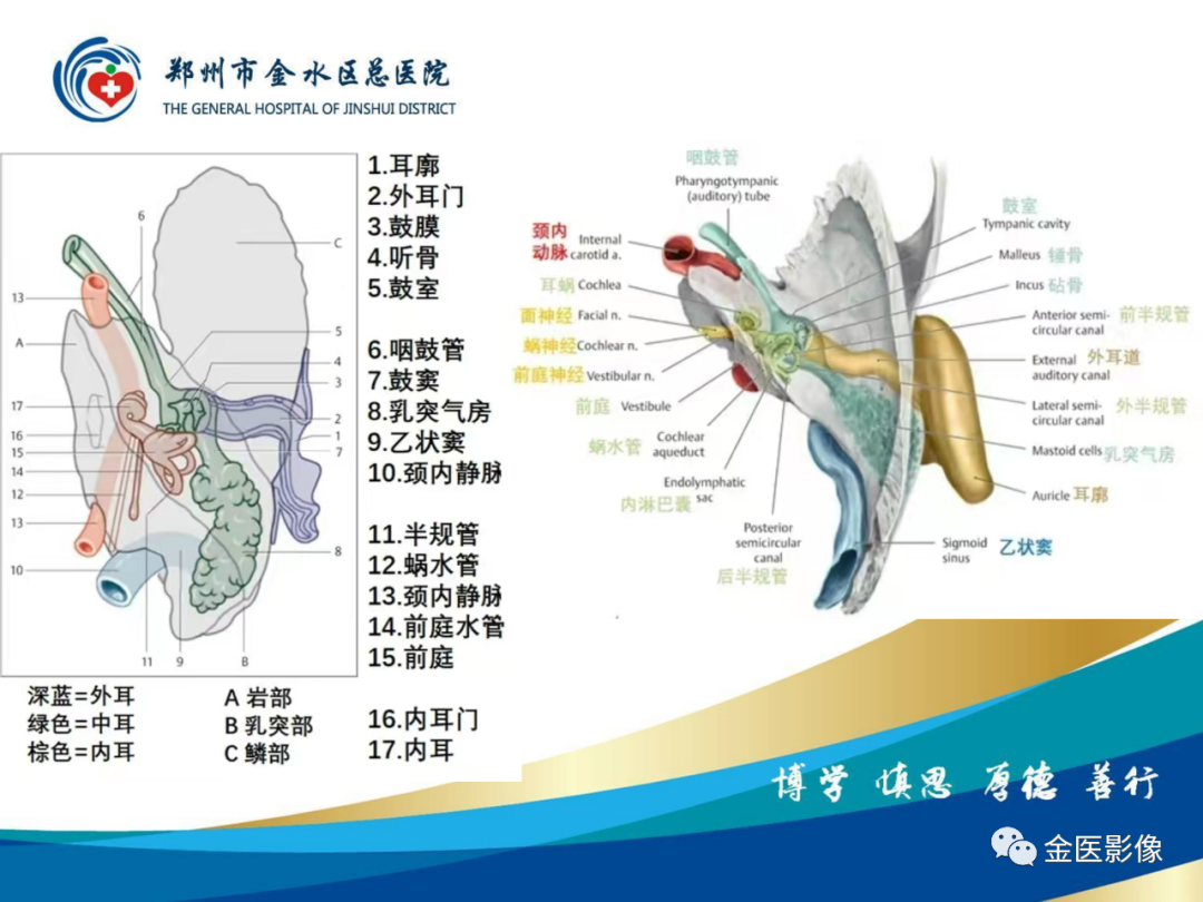 影像PPT - 【PPT】颞骨断层解剖及CT重建-10