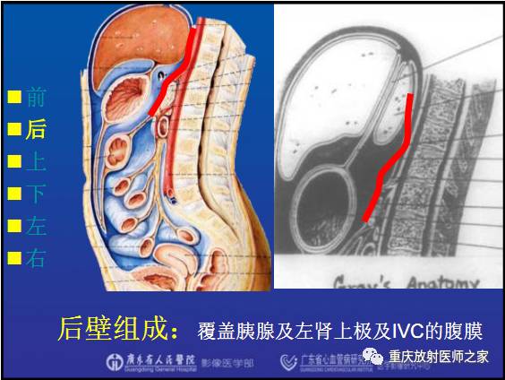 影像PPT - 【PPT】网膜囊疝的影像诊断-19