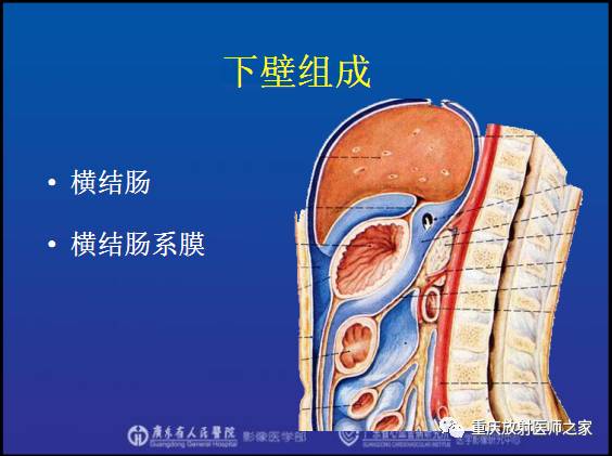 影像PPT - 【PPT】网膜囊疝的影像诊断-25