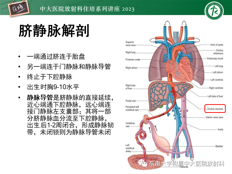 影像PPT - 【PPT】体部常见置管影像解读-49