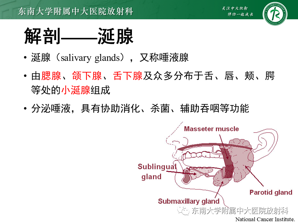 影像PPT - 【PPT】多形性腺瘤-7