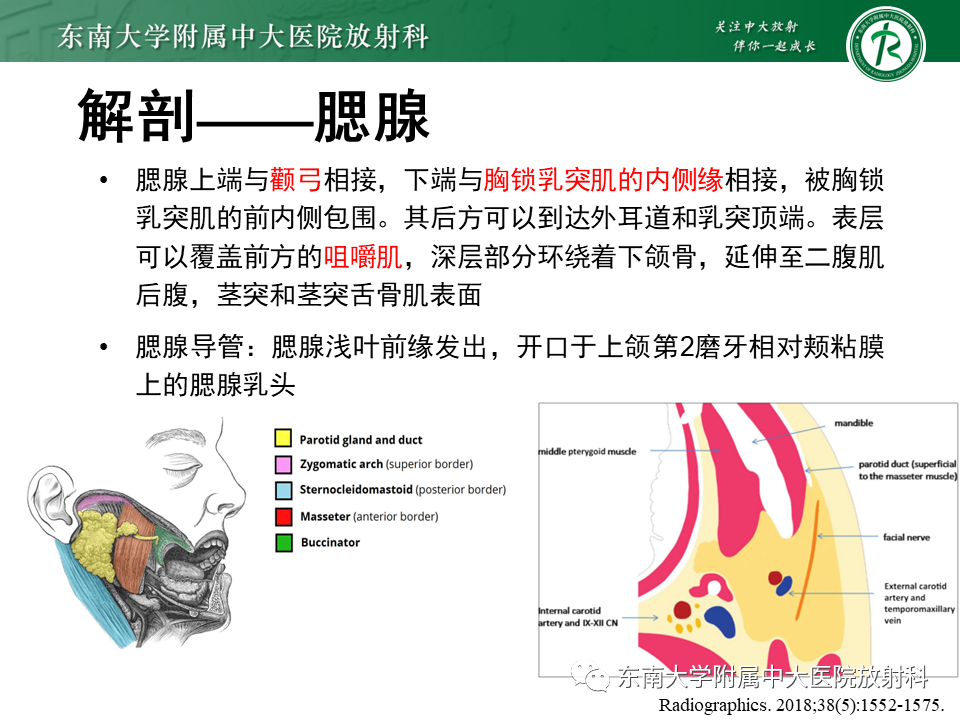 影像PPT - 【PPT】多形性腺瘤-8
