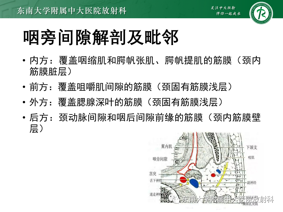 影像PPT - 【PPT】多形性腺瘤-11