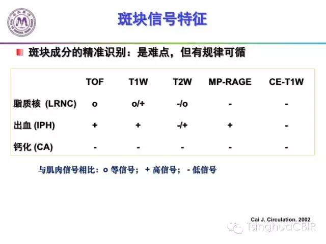 影像PPT - 颈动脉斑块磁共振图像的判读分析方法-5
