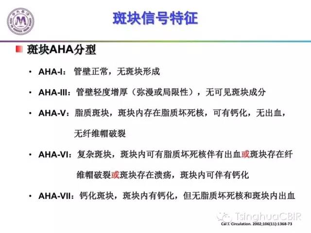 影像PPT - 颈动脉斑块磁共振图像的判读分析方法-7