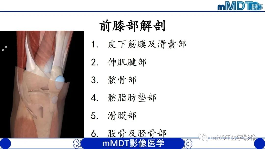 影像PPT - 【PPT】非肿瘤性前膝疼痛综合征MR评估—基于解剖层次视角-2 影像PPT - 【PPT】非肿瘤性前膝疼痛综合征MR评估—基于解剖层次视角-2