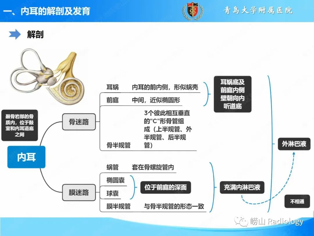 影像PPT - 【PPT】内耳畸形的影像学诊断-3