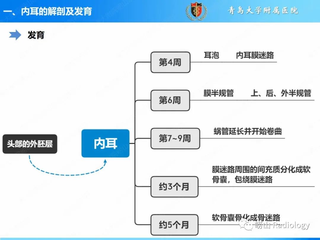 影像PPT - 【PPT】内耳畸形的影像学诊断-17