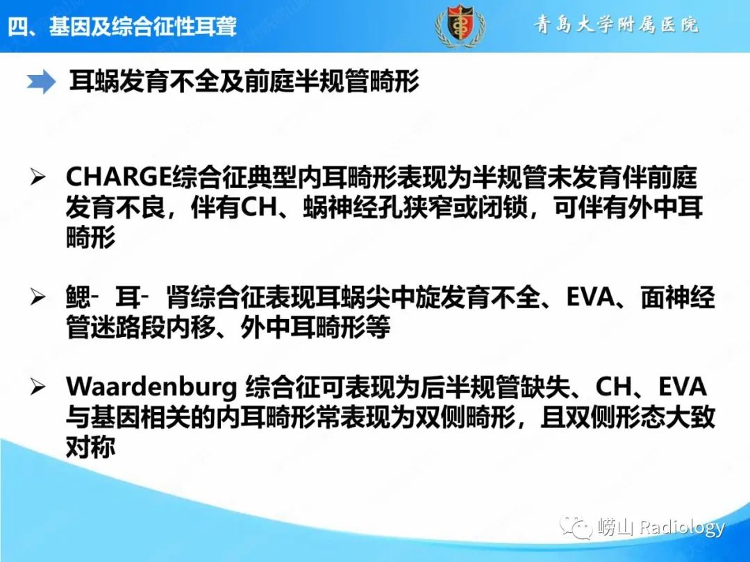 影像PPT - 【PPT】内耳畸形的影像学诊断-48