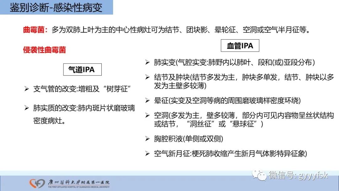 影像PPT - 【PPT】马尔尼菲篮状菌病-14