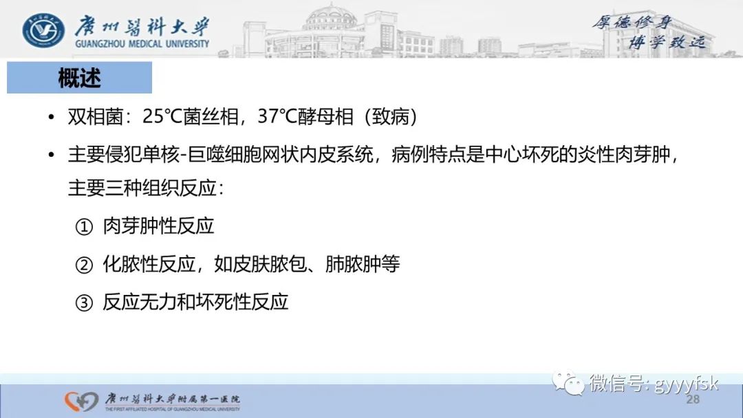 影像PPT - 【PPT】马尔尼菲篮状菌病-28