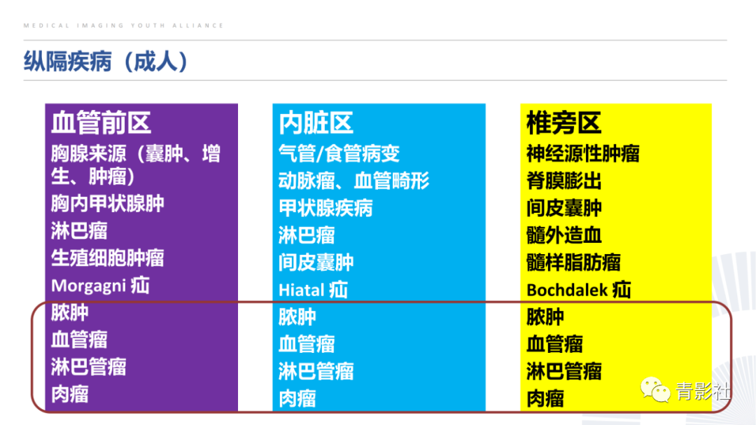 影像PPT - 【PPT】纵隔血管前区疾病的影像诊断思路-8