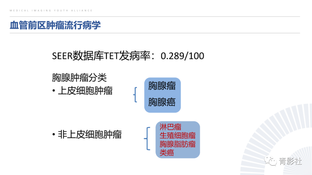 影像PPT - 【PPT】纵隔血管前区疾病的影像诊断思路-11