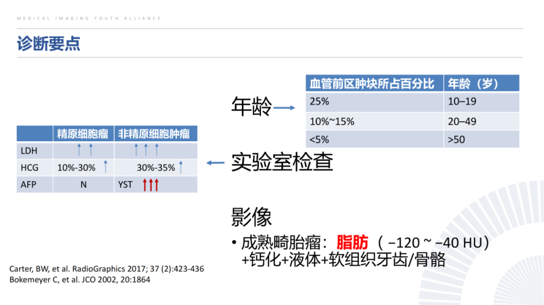 影像PPT - 【PPT】纵隔血管前区疾病的影像诊断思路-46