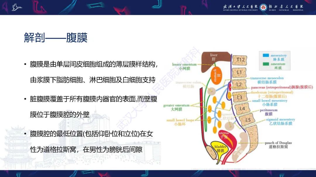 影像PPT - 【PPT】肠系膜实性肿块影像诊断-2