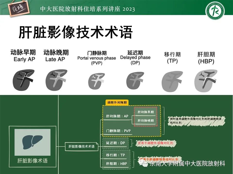影像PPT - 【PPT】 肝脏影像通用术语和图谱解读-4