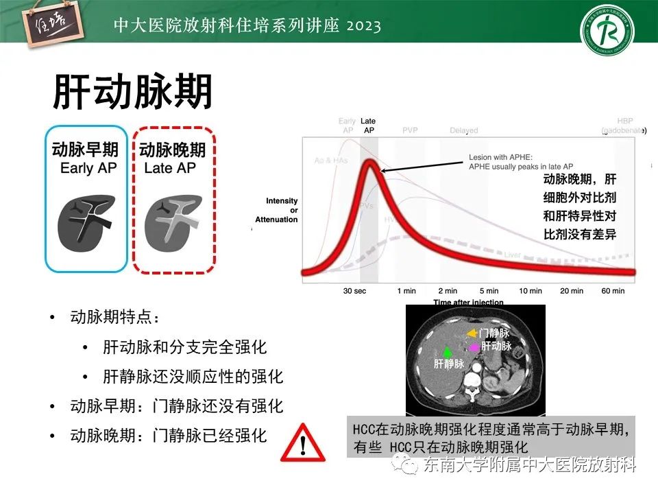影像PPT - 【PPT】 肝脏影像通用术语和图谱解读-5