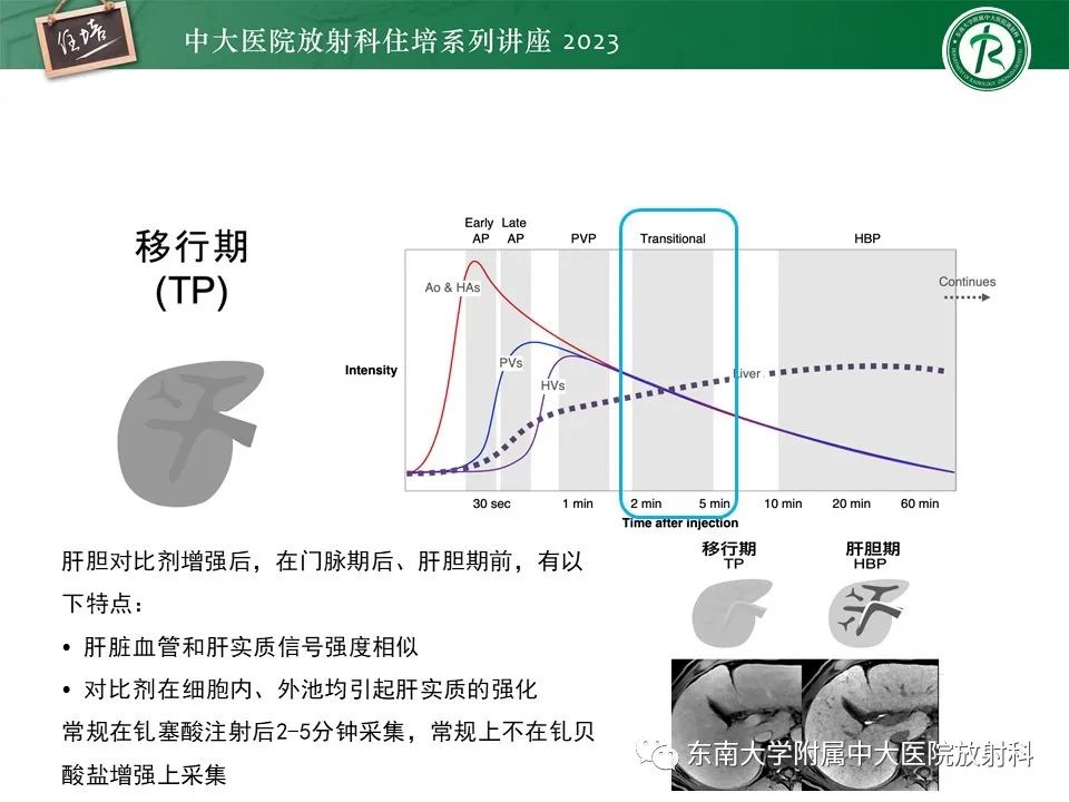影像PPT - 【PPT】 肝脏影像通用术语和图谱解读-11